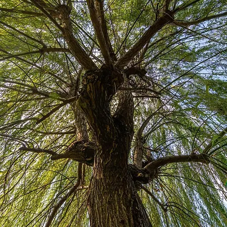 Casa Dei Giardini Bed & Breakfast