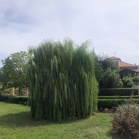 Casa Dei Giardini * Mondovì